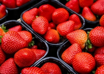 Aardbeien bederven snel. Deze boer geeft een briljante tip om ze veel langer vers te houden