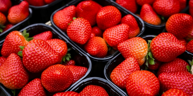 Aardbeien bederven snel. Deze boer geeft een briljante tip om ze veel langer vers te houden